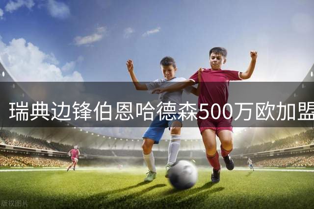 瑞典边锋伯恩哈德森500万欧加盟狼堡